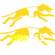 BRA365